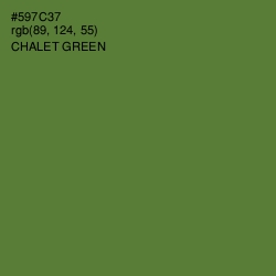 #597C37 - Chalet Green Color Image